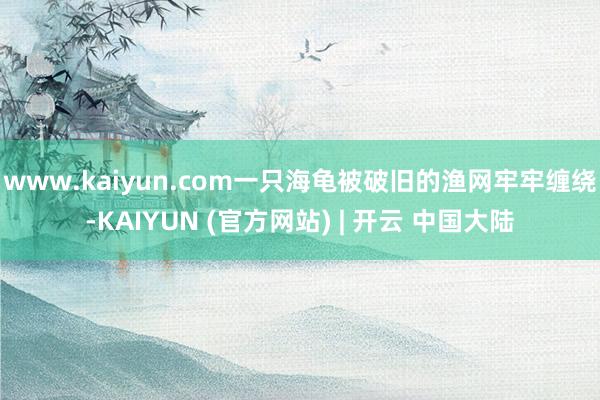 www.kaiyun.com一只海龟被破旧的渔网牢牢缠绕-KAIYUN (官方网站) | 开云 中国大陆